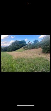 Foto - Pachtgrundstück in Dörrmorsbach zu verpachten