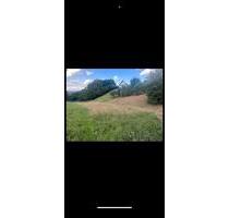 Pachtgrundstück in Dörrmorsbach zu verpachten - Aschaffenburg Gailbach