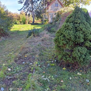 Foto - Grundst&uuml;ck in Eilenburg zum Kaufen