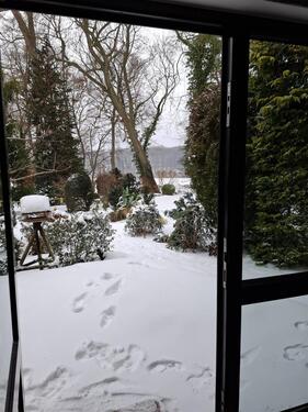 Foto - 3 Zimmer Erdgeschoßwohnung in Malchow