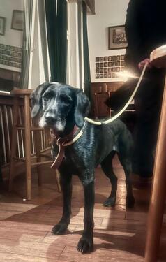 Foto - Etagenwohnung in Göttingen zur Miete