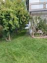 Foto - Einfamilienhaus in Ingolstadt zum Kaufen