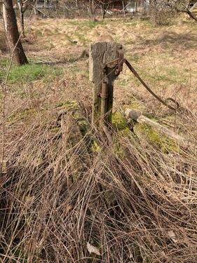 Foto - Großes Grundstück in Wolfmannsgehau OT Treffurt
