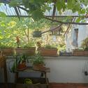Foto - Einfamilienhaus zum Kaufen in Blankenfelde-Mahlow