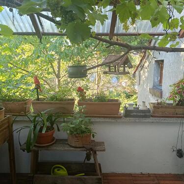 Foto - Einfamilienhaus zum Kaufen in Blankenfelde-Mahlow