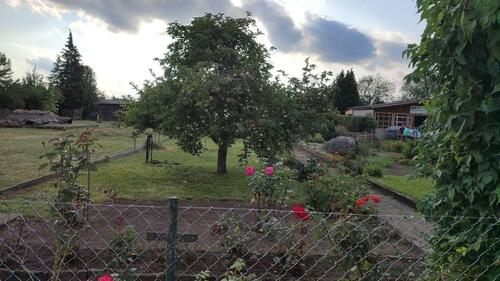 Foto - Garten in Kleingartensparte von Roßlau zu verpachten