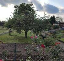 Garten in Kleingartensparte von Roßlau zu verpachten - Dessau-Roßlau Brambach