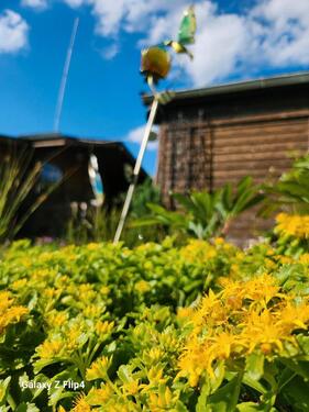 Foto - Grundst&uuml;ck in Pulsnitz zur Miete