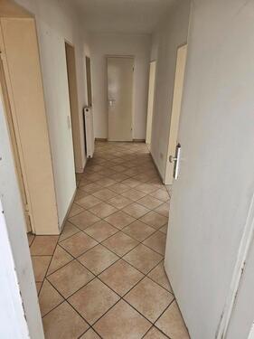 Foto - Schöne 3 Zimmer wohnung mit Garten in Pfeifferstraße 16, Kassel