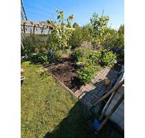 Kleingarten im KG 1 Elbtal e.V. - Radebeul