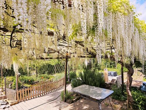 Foto - Grundst&uuml;ck zur Miete in Radebeul