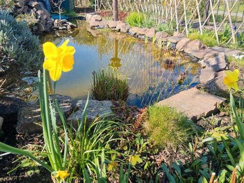 Foto - Grundst&uuml;ck in Radebeul zur Miete