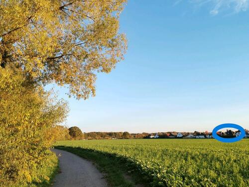Foto - Einfamilienhaus zum Kaufen in Frankfurt am Main