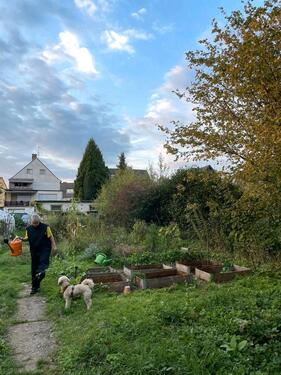 Foto - Grundst&uuml;ck in Bergisch Gladbach zur Miete