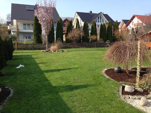 Foto - Einfamilienhaus in Hofgeismar zum Kaufen