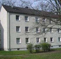 Nimm mich! Günstig geschnittene 2-Zimmer-Wohnung - Bochum Bochum-Mitte Nimm mich! Günstig geschnittene 2-Zimmer-Wohnung - Bochum Bochum-Mitte