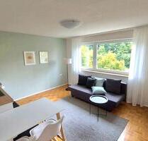 1-Zimmer-Appartment in Ellwangen - nur für Wochenendpendler - Ellwangen (Jagst)