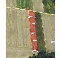 Ackerfläche 7290m² - 17,00 EUR Kaltmiete, ca.  0,00 m² in Ingolstadt (PLZ: 85049)