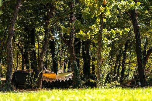 Foto - andere in Fellbach