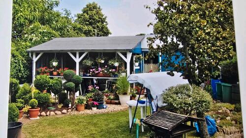 Foto - Schrebergarten in KGS Köthen Gütersee