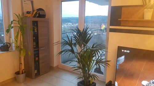 Foto - 3 Zimmer Erdgeschoßwohnung in Remchingen