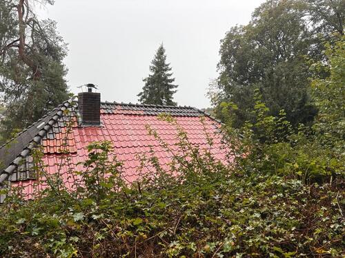 Foto - Einfamilienhaus mit Potenzial in Naumburg (Hessen)