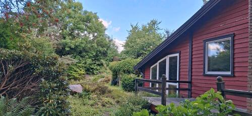 Foto - Einfamilienhaus in Owschlag zum Kaufen