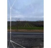 3-Zimmerwohnung frisch saniert - 900,00 EUR Kaltmiete, ca.  85,00 m² in Jork (PLZ: 21635)