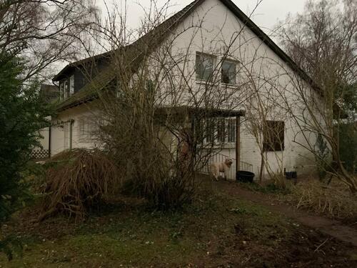 Foto - 5 Zimmer Einfamilienhaus in Bad Münder am Deister