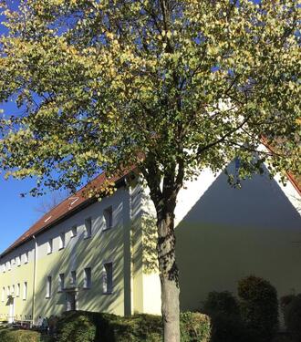 Foto - Demnächst frei! 2-Zimmer-DG-Wohnung in Bönen