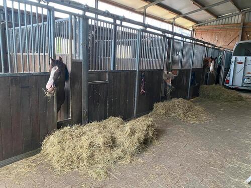 Foto - Einfamilienhaus in Agathenburg
