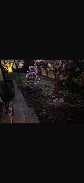 Foto - 1 Zimmer Etagenwohnung zur Miete in Weinstadt