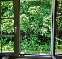 2-Zimmerwohnung am Waldrand (Grüner Weg) - Leverkusen Schlebusch