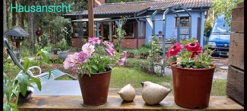 Foto - GEGEN GEBOT-HAUS IM WALD-RUHIGE LAGE-JELMSTORFBIENENBÜTTEL WEGE