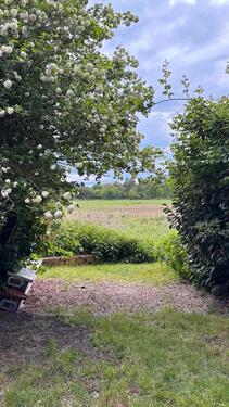 Foto - Einfamilienhaus in Gifhorn zum Kaufen