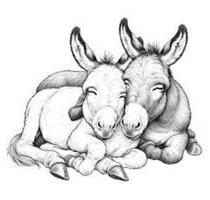 Weide Einstellplatz f. Esel, Shetty, Lama, Alpaka, Ziege, Schaf - Rudersberg