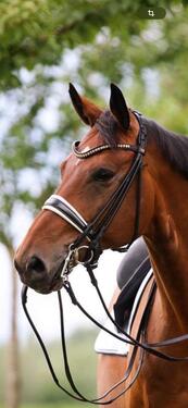 Foto - Steinhaus Kandare rundgenäht - 900,00&nbsp;EUR Kaltmiete,