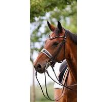 Steinhaus Kandare rundgenäht - 850,00&nbsp;EUR Kaltmiete, in Dinslaken (PLZ: 46537) Lohberg