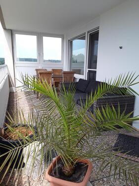 Foto - 2 Zimmer Einfamilienhaus in Hirschau
