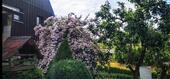 Foto - 6 Zimmer Einfamilienhaus in Mittweida