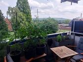 Foto - Etagenwohnung in Grevenbroich