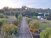 Foto - Hübscher ruhiger Kleingarten in Leuna