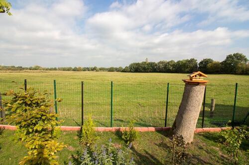 Foto - Einfamilienhaus in Bockhorn zum Kaufen