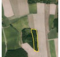 Waldgrundstück - 5,00&nbsp;EUR Kaltmiete, ca.&nbsp; 0,00&nbsp;m&sup2; in Geisenhausen (PLZ: 84144)
