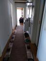 Foto - Lotte: 2 Zimmer, Küche, Bad, Abstellraum, Balkon, Einstellplatz