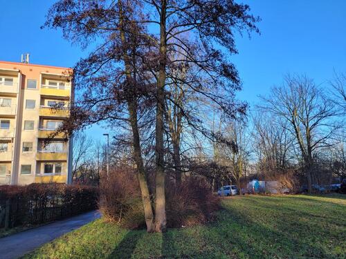 Foto - 