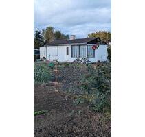 Pachtgarten mit Bungalow - 660,00 EUR Kaltmiete, ca.  0,00 m² in Halberstadt (PLZ: 38820)