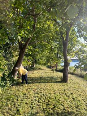 Foto - Grundst&uuml;ck zur Miete in Bad Füssing