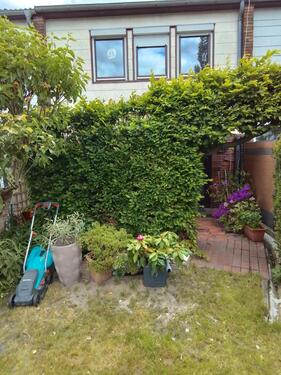 Foto - 4 Zimmer Reihenhaus in Berlin