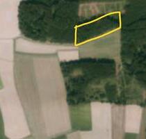 Waldgrundstück - 7,00&nbsp;EUR Kaltmiete, ca.&nbsp; 0,00&nbsp;m&sup2; in Geisenhausen (PLZ: 84144)